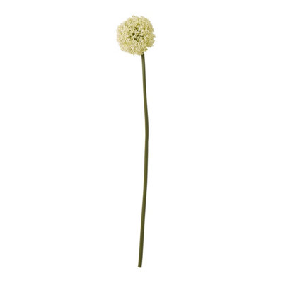 B&Q -  Set Of 3 Cream Artificial Allium Stems 750 mm Tall Indoor Decorative Flowers