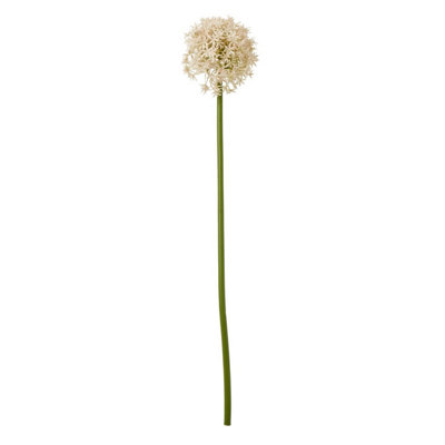 Wyld Haus Set Of 3 Pink Medium Artificial Allium Stems By from B&Q