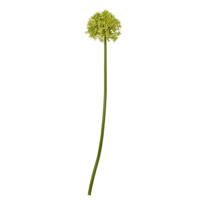B&Q -  Set Of 3 Green Medium Allium Stems 80 Cm Silk Blooms On Plastic Stems