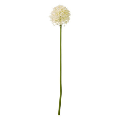 Wyld Haus Set Of 3 Cream Medium Allium Artificial Flower Stems 800mm from B&Q