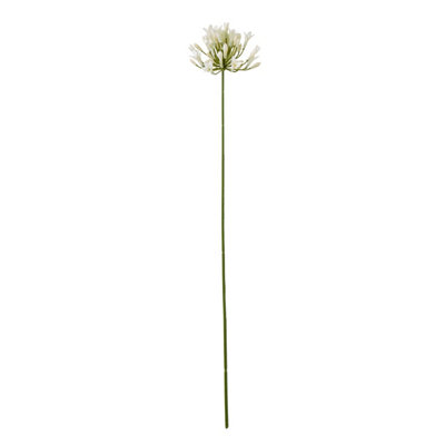 Wyld Haus Set Of 3 Cream Agapanthus Artificial Flower Sprays from B&Q