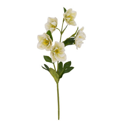 Wyld Haus Set Of 3 White Hellebore Artificial Flower Stems 450mm Plastic from B&Q