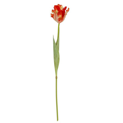 B&Q -  Set Of 3 Multi Pink Parrot Tulip Stems690mm