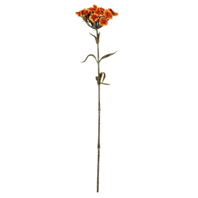 Wyld Haus Set Of 3 Artificial Orange Dianthus Spray Stems from B&Q