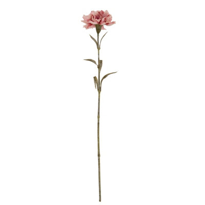 Wyld Haus Set Of 3 Pink Carnation Artificial Flower Stems 560mm from B&Q