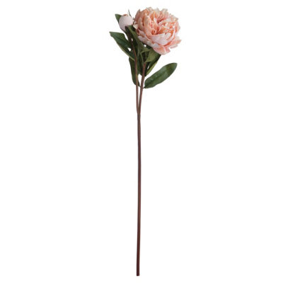 Wyld Haus Set Of 3 Peach Peony Artificial Flower Stems 580mm from B&Q