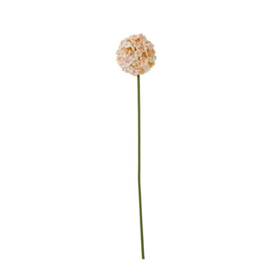 Wyld Haus Set Of 3 Artificial White & Apricot Allium Stems 560mm from B&Q