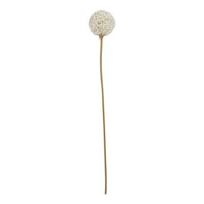 B&Q -  Set Of 3 White Artificial Allium Stems 660mm Lifelike Silk Blooms