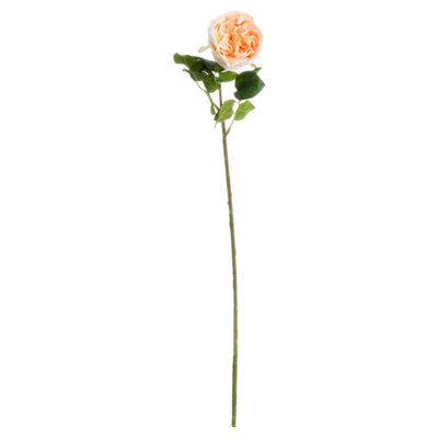 Wyld Haus Set Of 3 Artificial Butter Portland Rose Stems 720 mm from B&Q