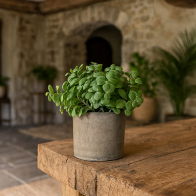 Wyld Haus Artificial Basil Plant In Stone-Effect Pot15 Cm from B&Q