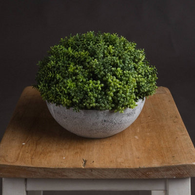 Wyld Haus Small Artificial Hebe Globe Plant In Grey Stone-Effect Pot 15 Cm from B&Q