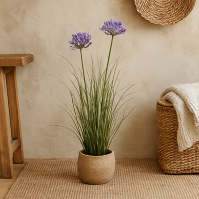 Wyld Haus 90Cm Purple Agapanthus Artificial Plant Pot Not Included from B&Q