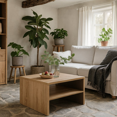 Wyld Haus Athens Natural Oak Wood-Effect Square Coffee Table With Shelf from B&Q