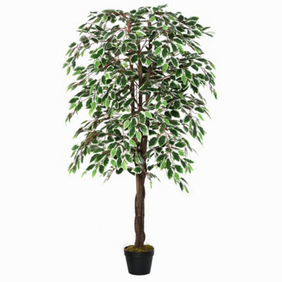 Wyld Haus Keco Yona 160Cm Artificial Ficus Indoor Plant In Decorative Pot H8 from B&Q
