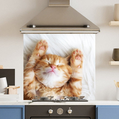 Choose Your Print Premium 65 X 60Cm Cat  6mm Glass Toughened Kitchen Splashback from B&Q