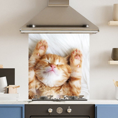 Choose Your Print Premium 65 X 70Cm Cat  6mm Glass Toughened Kitchen Splashback from B&Q