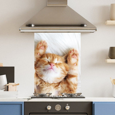 Choose Your Print Premium 65 X  90Cm Cat  6mm Glass Toughened Kitchen Splashback from B&Q