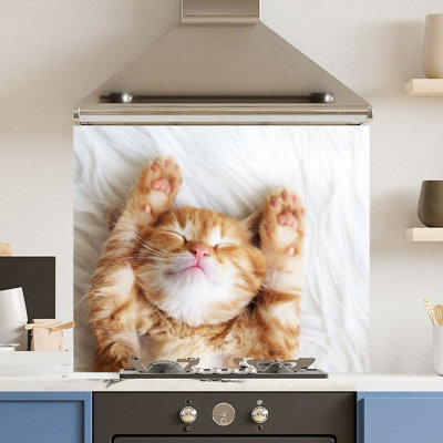 Choose Your Print Premium 74.5 X 59.5Cm Cat  6mm Glass Toughened Kitchen Splashback from B&Q