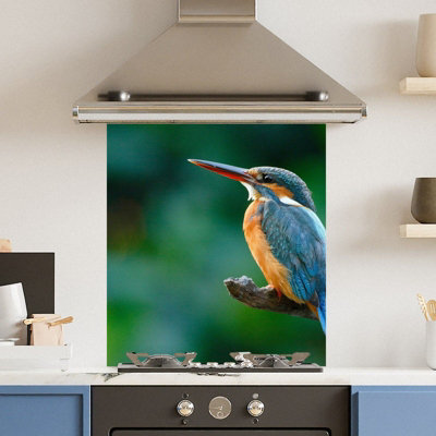 Choose Your Print Premium 59.5 X 74.5Cm Kingfisher  6mm Glass Toughened Kitchen Splashback from B&Q