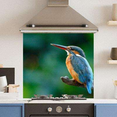 Choose Your Print Premium 65 X 60Cm Kingfisher  6mm Glass Toughened Kitchen Splashback from B&Q