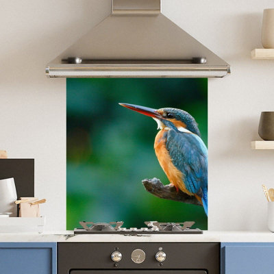 Choose Your Print Premium 65 X 70Cm Kingfisher  6mm Glass Toughened Kitchen Splashback from B&Q
