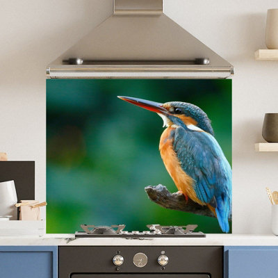 Choose Your Print Premium 70 X 60Cm Kingfisher  6mm Glass Toughened Kitchen Splashback from B&Q