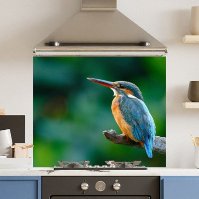 Choose Your Print Premium 74.5 X 59.5Cm Kingfisher  6mm Glass Toughened Kitchen Splashback from B&Q