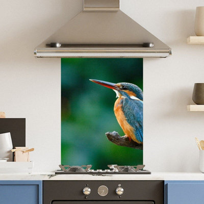 Choose Your Print Premium 75 X 90Cm Kingfisher  6mm Glass Toughened Kitchen Splashback from B&Q