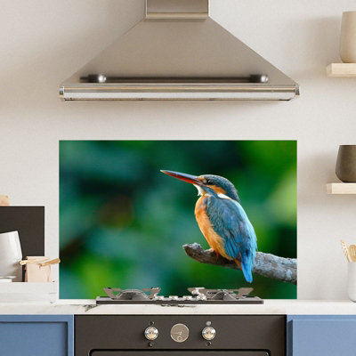 Choose Your Print Premium 90 X 60Cm Kingfisher  6mm Glass Toughened Kitchen Splashback from B&Q