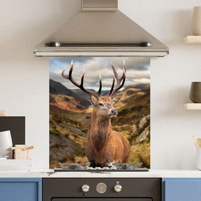 Choose Your Print Premium 59.5 X 74.5Cm Stunning Stag 6mm Glass Toughened Kitchen Splashback from B&Q