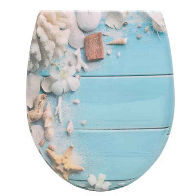Oval Duroplast Soft Close Toilet Seat With Antibacterial And Quick Release from B&Q