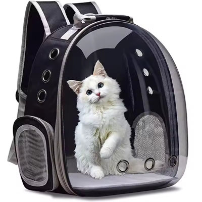 Transparent Bubble Pet Carrier Backpack from B&Q