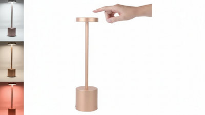 3 Color Stepless Dimming Touch Desk Lamp  Rechargeable Night Light from B&Q