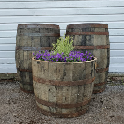  - Large 50 Cm Tall Oak Half Barrel Planter For Trees Shrubs Bushes And Flowers