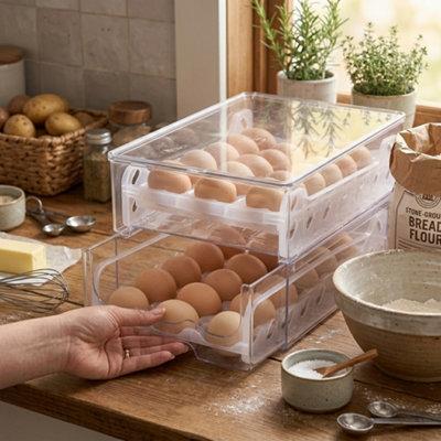 Roll Down Refrigerator Egg Dispenser 2 Tier Auto Rolling Egg Holder Storage Rack from B&Q