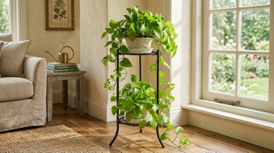  - 2 Tier Indoor & Outdoor Plant Stand
