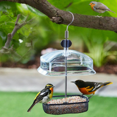  - Hanging Wild Bird Feeder Station With Adjustable Baffle Dome For Peanut And Seed Feed