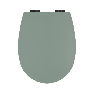 Bemis Hudson Soft Close Toilet Seat Matt Pistachio from B&Q