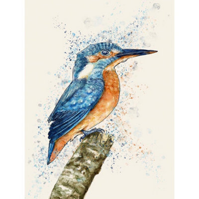 Artery8 Unframed Wall Art Kingfisher Watercolour12X16 Inch from B&Q