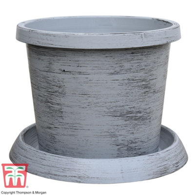 Thompson & Morgan Modern Patio Pot & Saucer (24 Litre) (39Cm) Large X 1 Grey