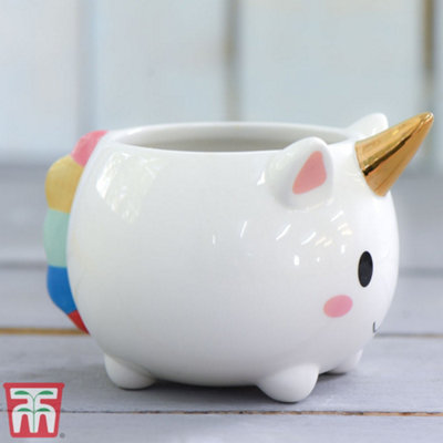 Thompson & Morgan Unicorn Pot With Gold Horn1 Pot from B&Q