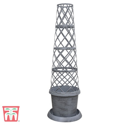 Thompson & Morgan Patio Pot And Growing FrameTower Pot Grey X 2 from B&Q