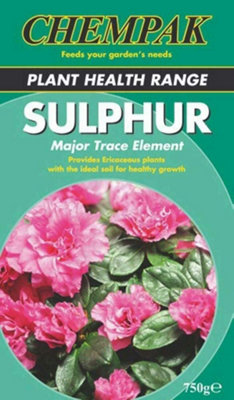 2x Chempak Sulphur Ericaceous Plants Soil Healthy Growth Plant Food Feed - 750g - Image 11