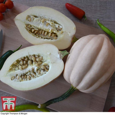 Thompson & Morgan Winter Squash Baked Potatoes 1 Packet (12 Seeds) from B&Q