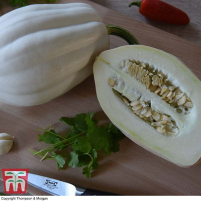 Thompson & Morgan Winter Squash Mashed Potatoes 1 Seed Packet (12 Seeds) from B&Q