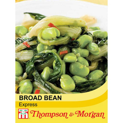 Thompson & Morgan Broad Bean Express 1 Seed Packet (30 Seeds) from B&Q