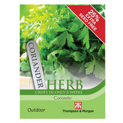 Thompson & Morgan Herb Coriander 1 Seed Packet (150 Seeds) from B&Q