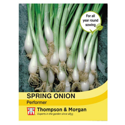 Thompson & Morgan Onion Performer 1 Seed Packet (250 Seeds) from B&Q