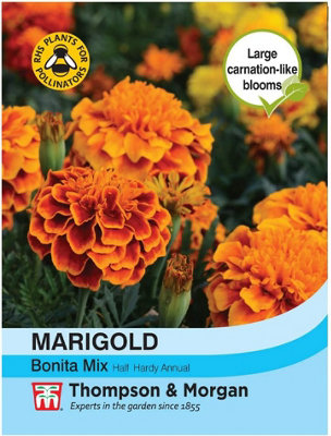 Thompson & Morgan Marigold Bonita Mixed 1 Packet (200 Seeds)