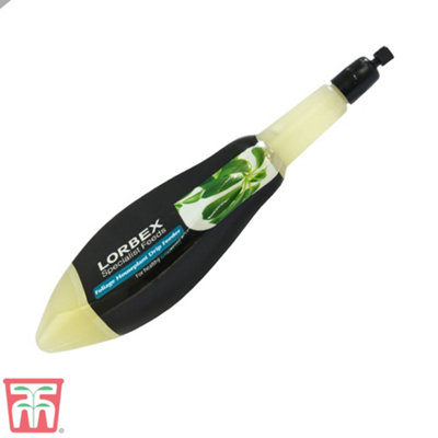 B&Q -  Single Foliage House Plant Drip Feeder X 1 Unit